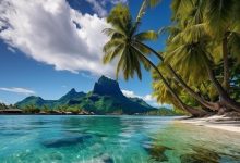 À la découverte des îles polynésiennes